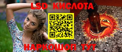шишки Жуковский