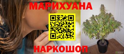 шишки Жуковский