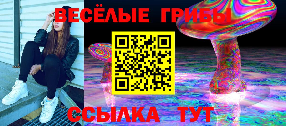 Псилоцибиновые грибы Psilocybine cubensis  Вход с VPN  Псилоцибиновые грибы мицелий  Людиново 